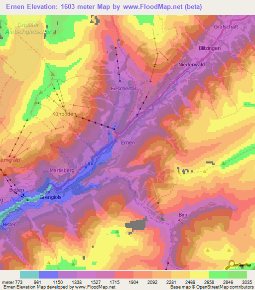 Ernen,Switzerland Elevation Map