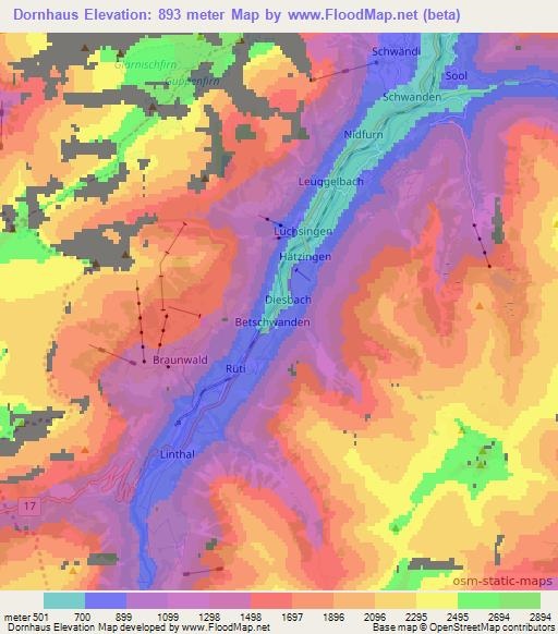 Dornhaus,Switzerland Elevation Map