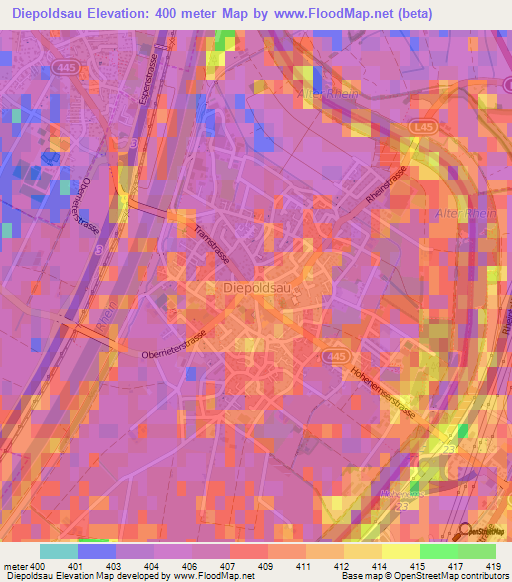 Diepoldsau,Switzerland Elevation Map