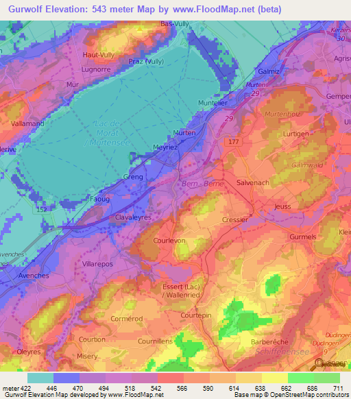 Gurwolf,Switzerland Elevation Map