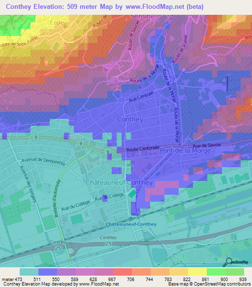 Conthey,Switzerland Elevation Map