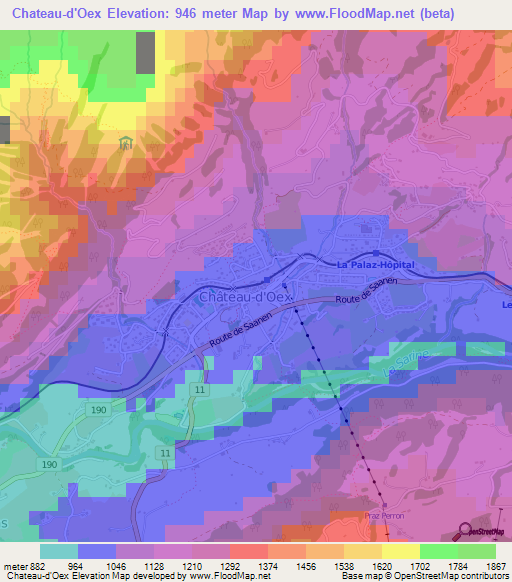 Chateau-d'Oex,Switzerland Elevation Map