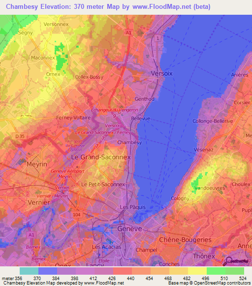 Chambesy,Switzerland Elevation Map