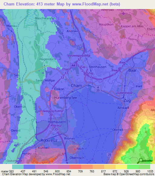 Cham,Switzerland Elevation Map