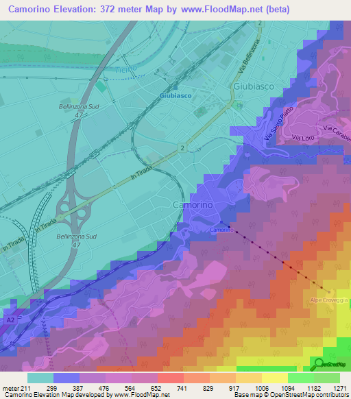 Camorino,Switzerland Elevation Map