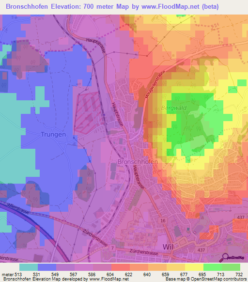 Bronschhofen,Switzerland Elevation Map