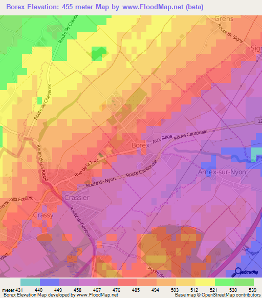 Borex,Switzerland Elevation Map