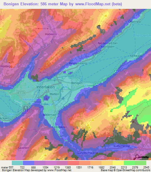 Bonigen,Switzerland Elevation Map