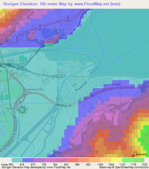 Bonigen,Switzerland Elevation Map