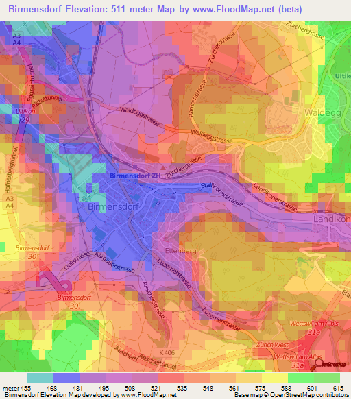 Birmensdorf,Switzerland Elevation Map