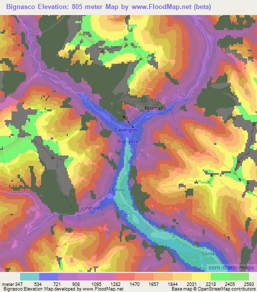 Bignasco,Switzerland Elevation Map