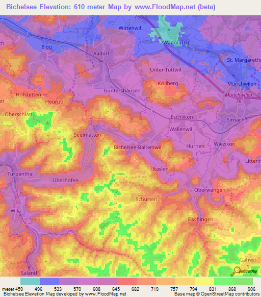 Bichelsee,Switzerland Elevation Map