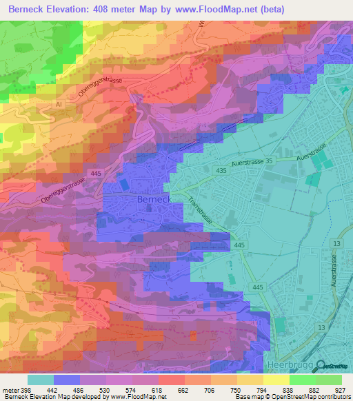 Berneck,Switzerland Elevation Map