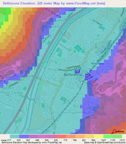 Bellinzona,Switzerland Elevation Map