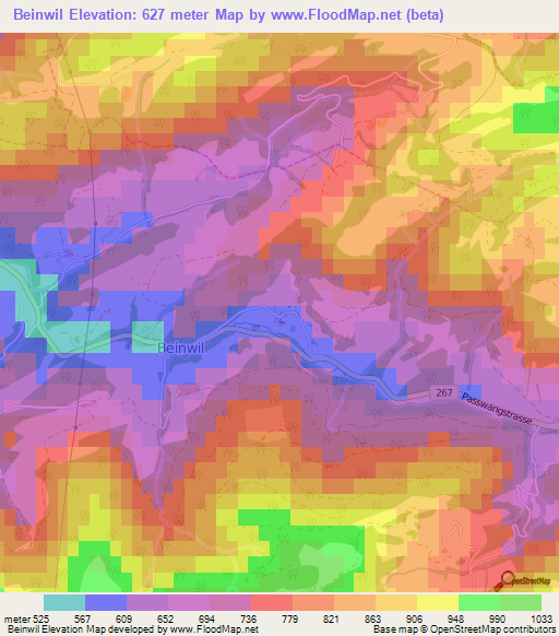 Beinwil,Switzerland Elevation Map