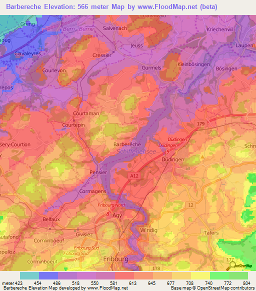 Barbereche,Switzerland Elevation Map