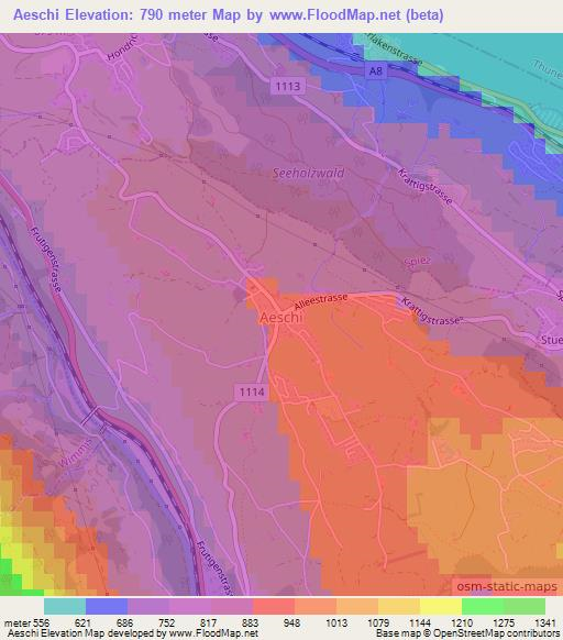 Aeschi,Switzerland Elevation Map