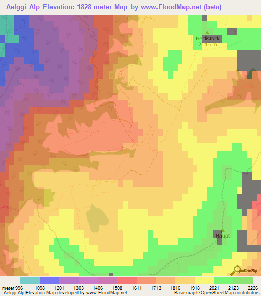 Aelggi Alp,Switzerland Elevation Map