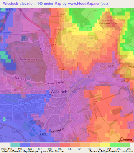 Wiesloch,Germany Elevation Map