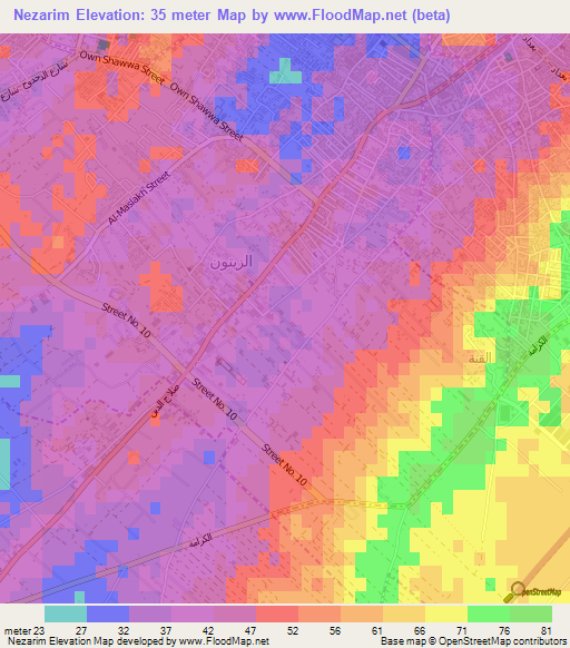 Nezarim,Palestinian Territory Elevation Map