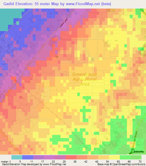 Gadid,Palestinian Territory Elevation Map