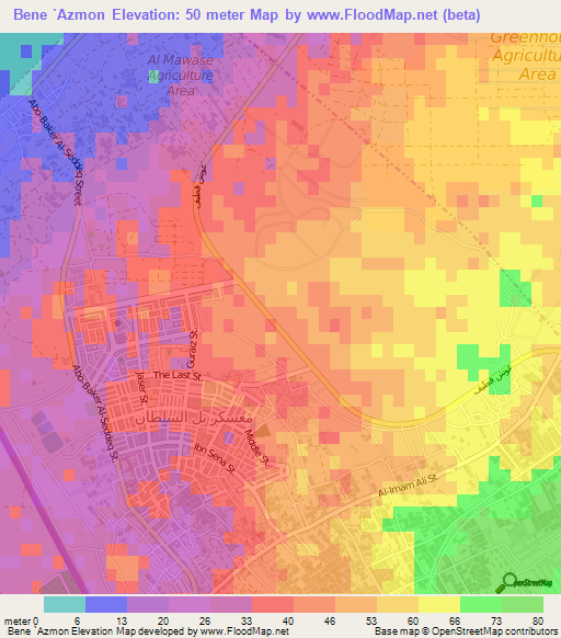 Bene `Azmon,Palestinian Territory Elevation Map