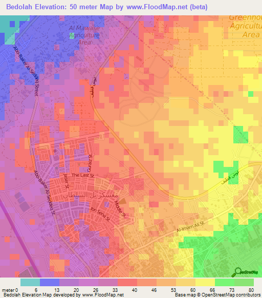 Bedolah,Palestinian Territory Elevation Map