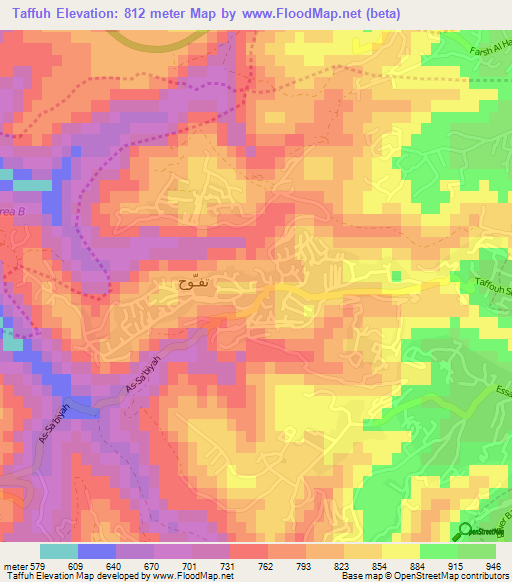 Taffuh,Palestinian Territory Elevation Map