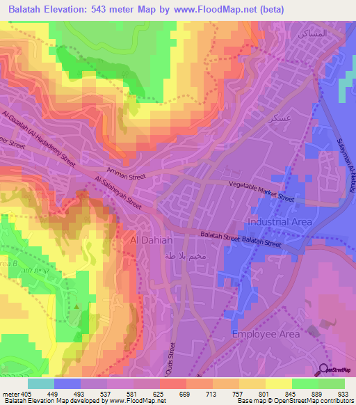 Balatah,Palestinian Territory Elevation Map