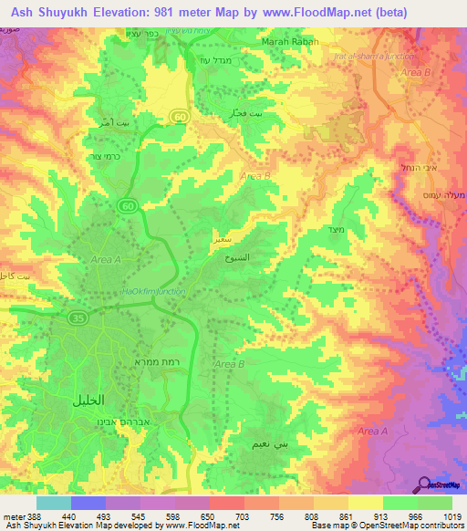 Ash Shuyukh,Palestinian Territory Elevation Map