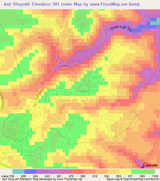 Ash Shuyukh,Palestinian Territory Elevation Map