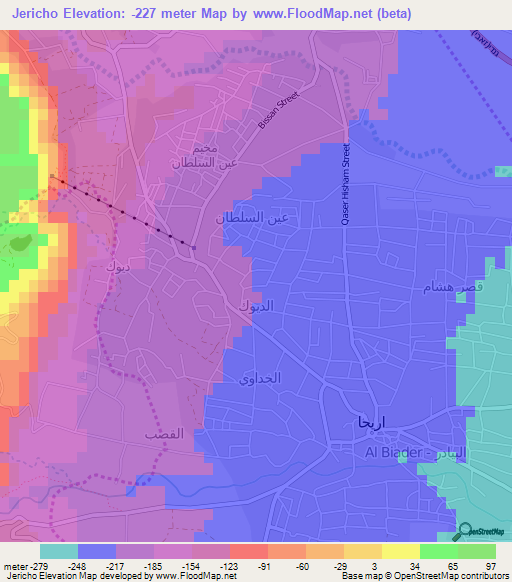 Jericho,Palestinian Territory Elevation Map