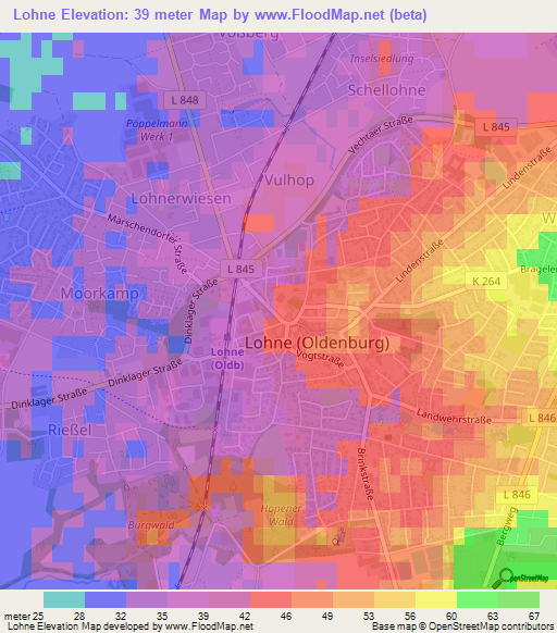 Lohne,Germany Elevation Map