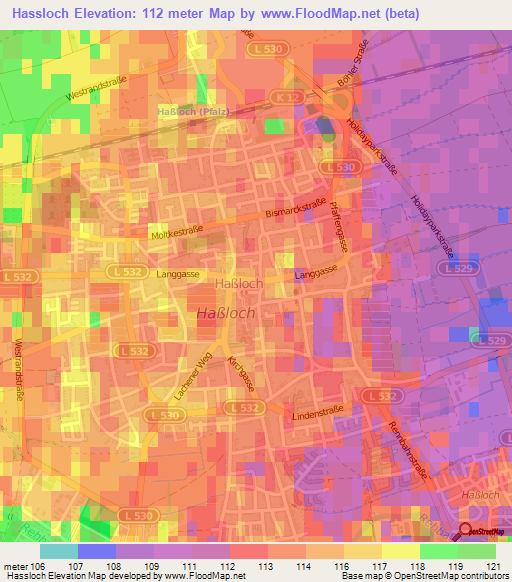 Hassloch,Germany Elevation Map