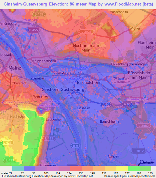 Ginsheim-Gustavsburg,Germany Elevation Map