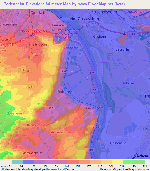 Bodenheim,Germany Elevation Map