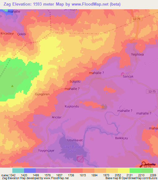 Zag,Turkey Elevation Map