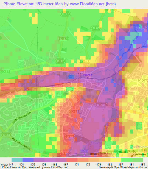 Pibrac,France Elevation Map