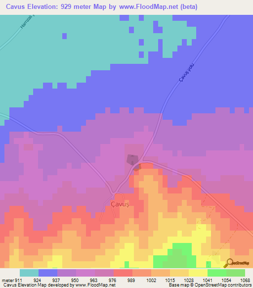 Cavus,Turkey Elevation Map