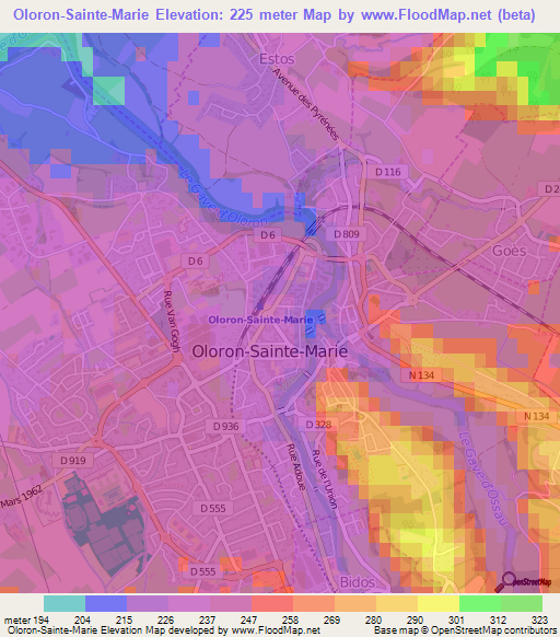 Oloron-Sainte-Marie,France Elevation Map