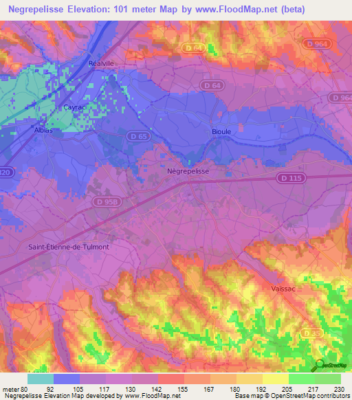 Negrepelisse,France Elevation Map