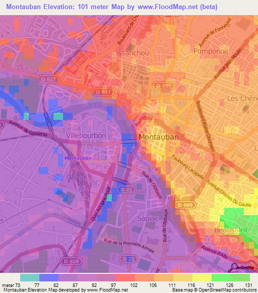 Montauban,France Elevation Map