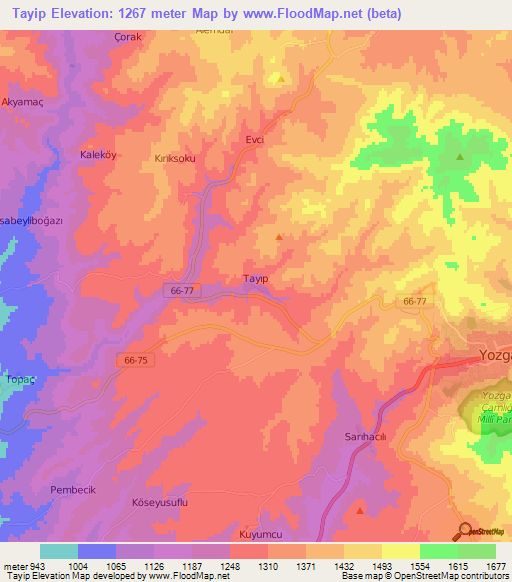 Tayip,Turkey Elevation Map