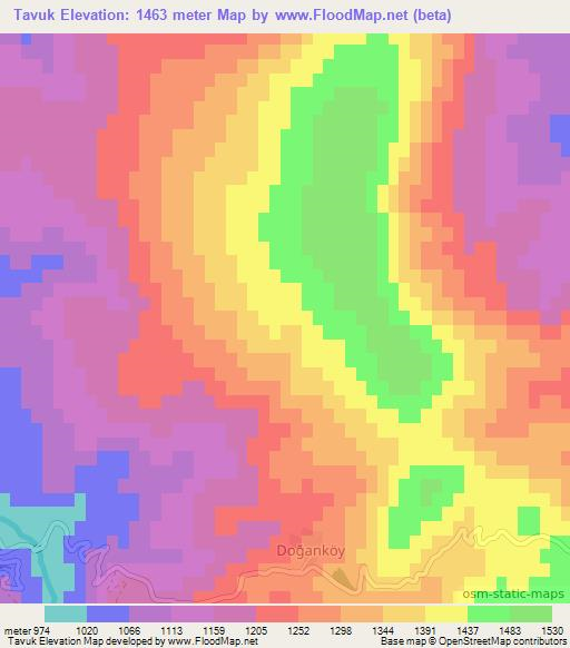 Tavuk,Turkey Elevation Map