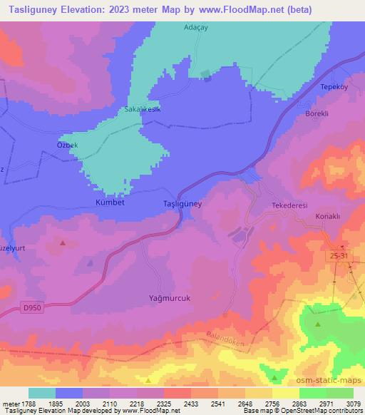 Tasliguney,Turkey Elevation Map