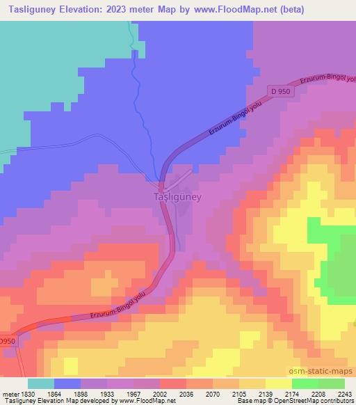 Tasliguney,Turkey Elevation Map