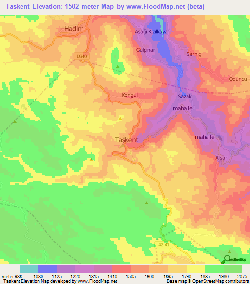 Taskent,Turkey Elevation Map