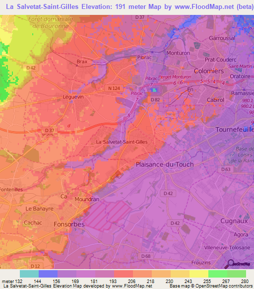 La Salvetat-Saint-Gilles,France Elevation Map