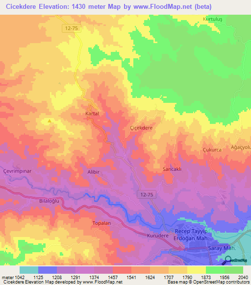 Cicekdere,Turkey Elevation Map