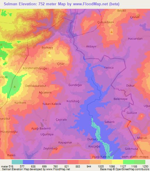 Selman,Turkey Elevation Map